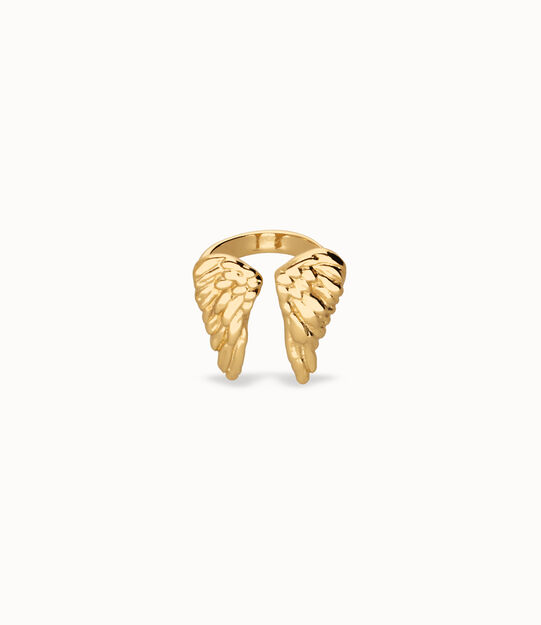 Ring with wing design
