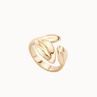 Minimalist smooth ring