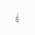 Cancer shaped charm
