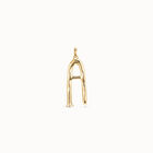 Large A initial charm