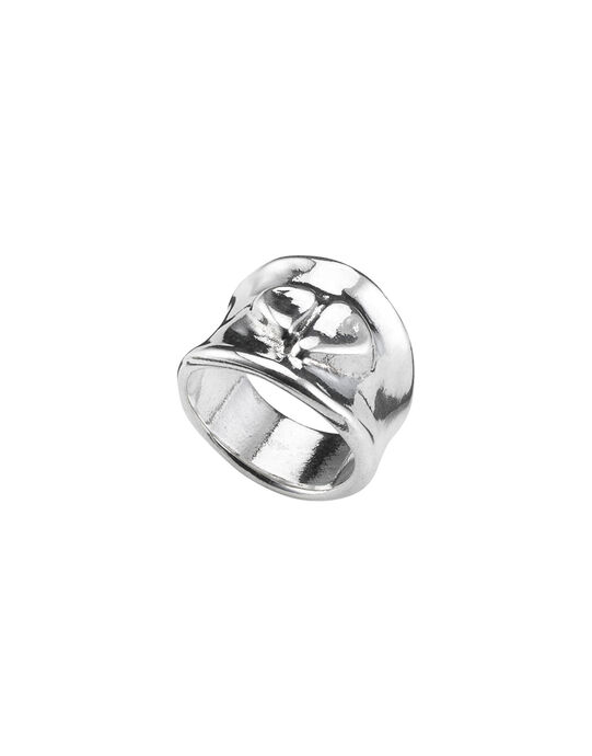 Anillo ba&ntilde;ado en plata de ley