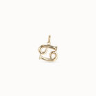 Capricorn shaped charm