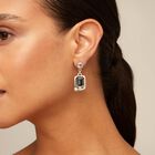 Earrings with grey crystals