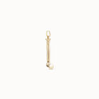 Large L initial charm