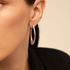 Oval hoop earrings