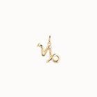 Capricorn shaped charm