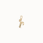 Aries shaped charm