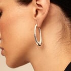 Oval hoop earrings