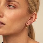 Single Hoop Earring