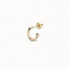 Single Hoop Earring