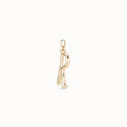 Large R initial charm