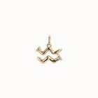 Aquarius shaped charm