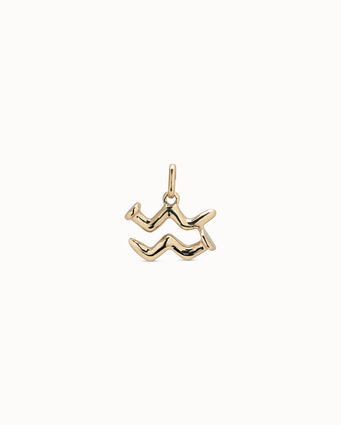 Charm bañado en oro de 18k con forma de signo acuario