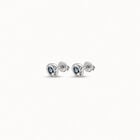 Sterling silver-plated earrings with crystal