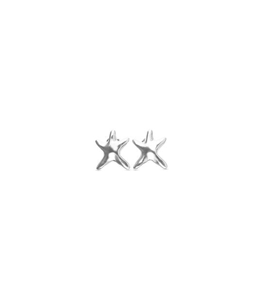 Small starfish earrings