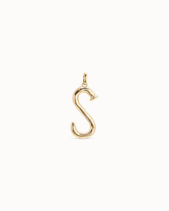 Charm S