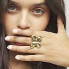 Maxi butterfly ring