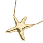 Long necklace with starfish