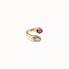 Ring Spring