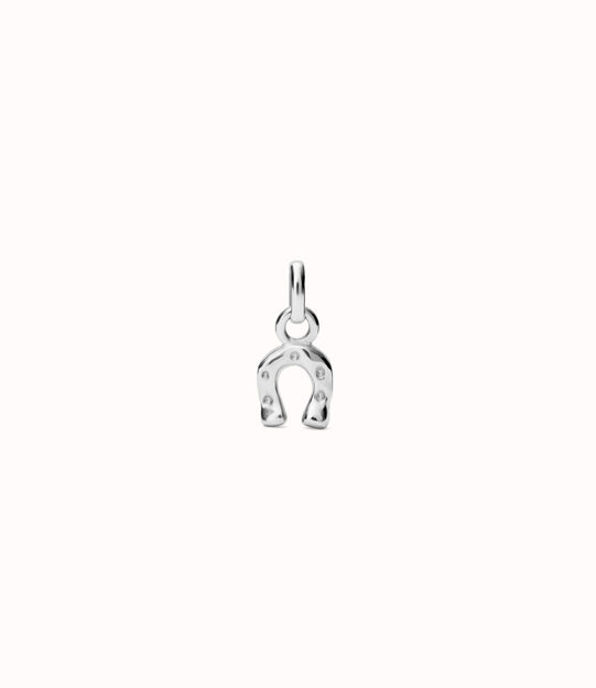 Horseshoe-shaped Charm