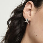 Small starfish earrings