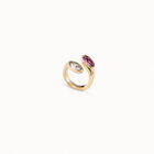 Ring Spring