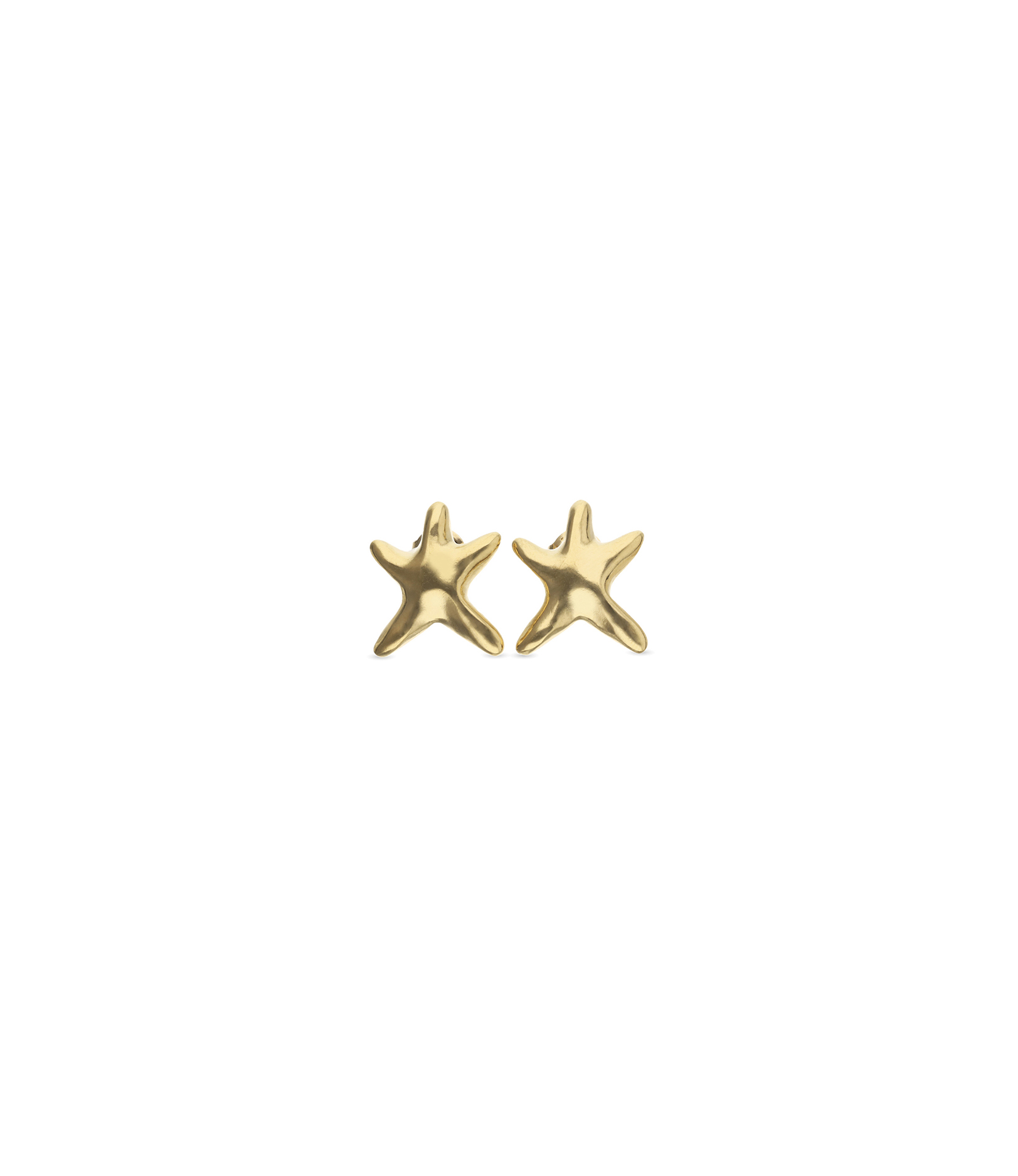Small starfish earrings