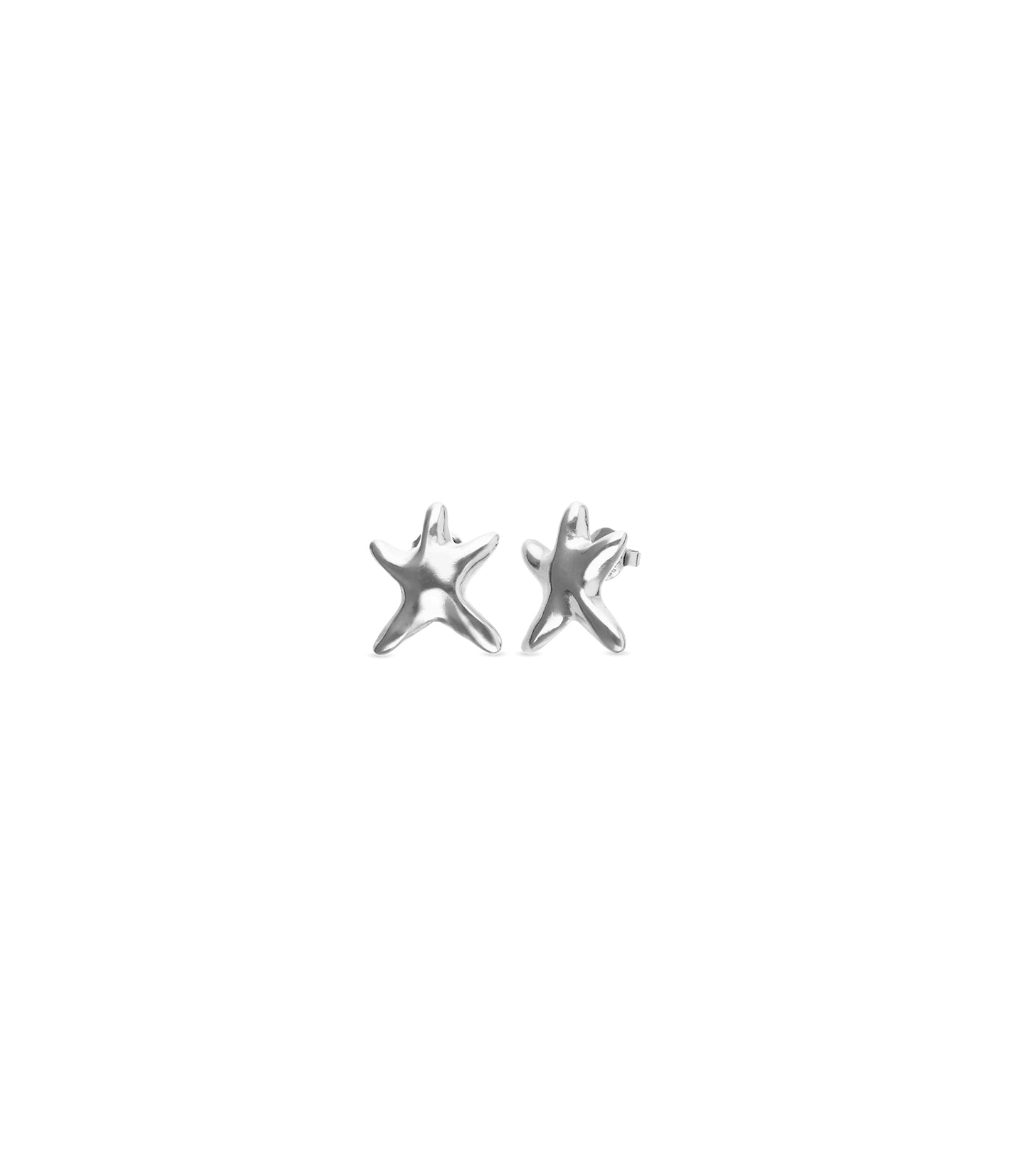 Small starfish earrings