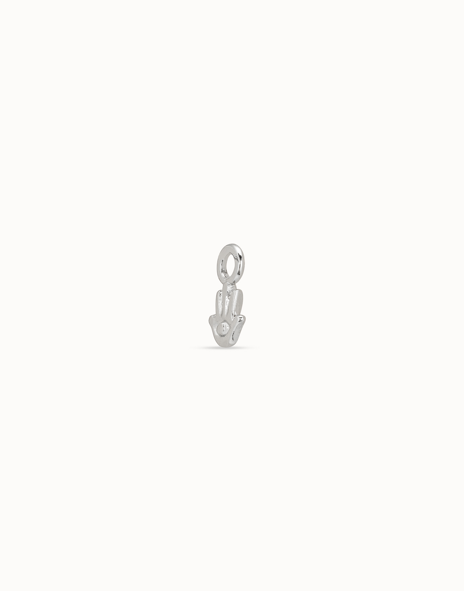 PROTECT US Charm, Plateado, large image number null