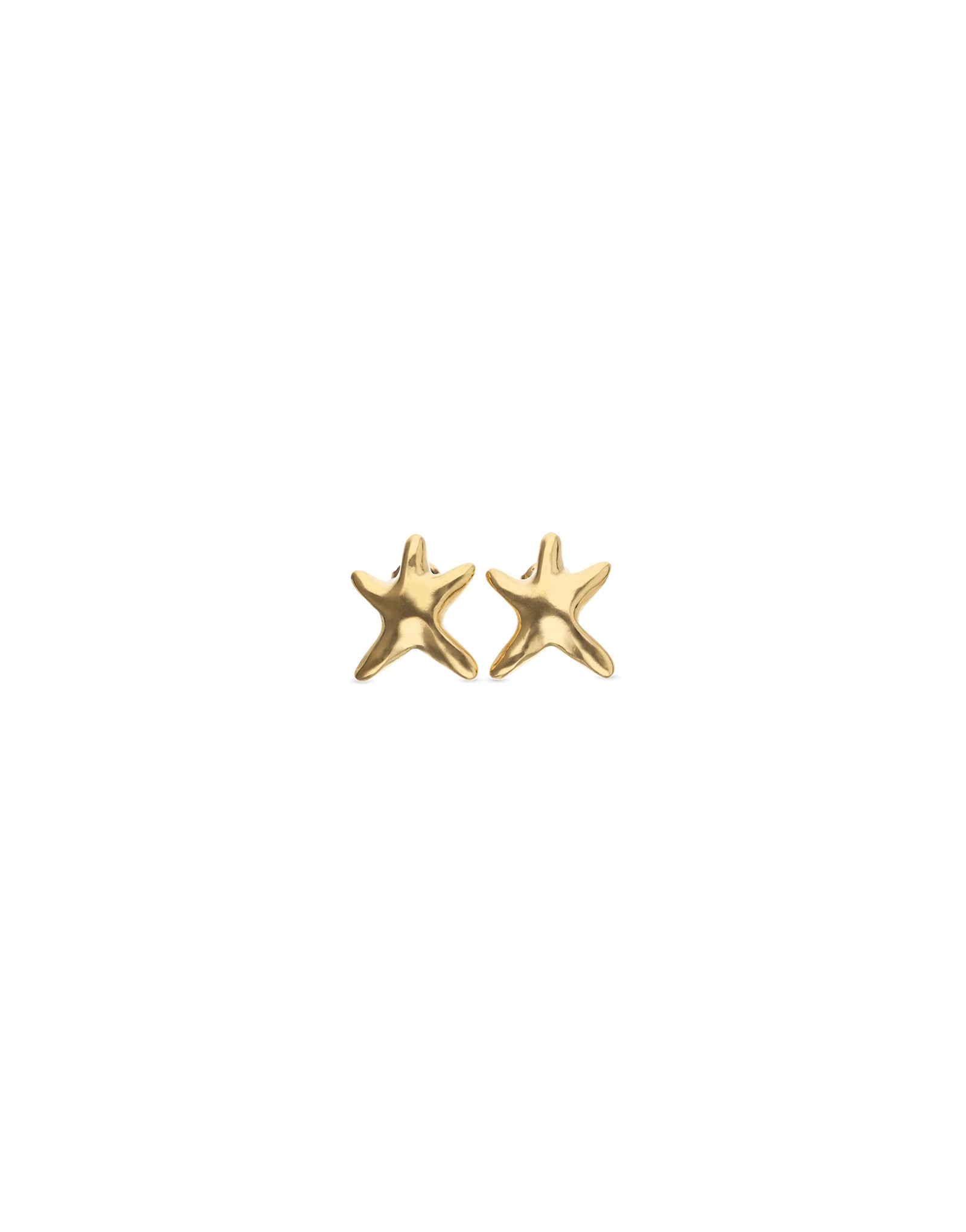 Small starfish earrings