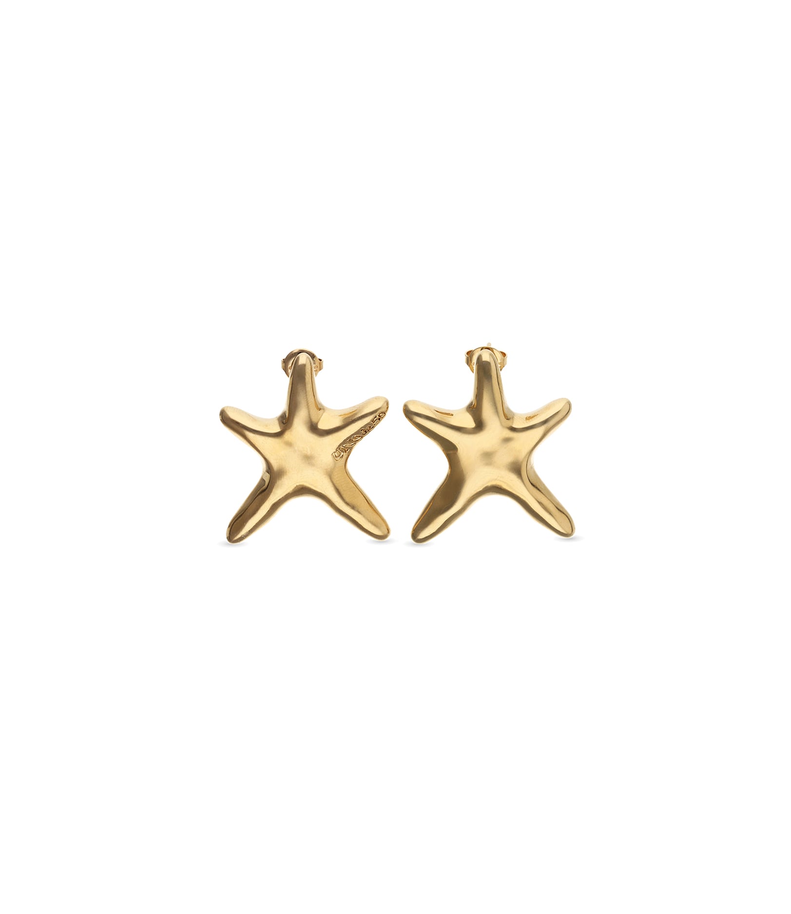 Medium starfish-shaped earrings